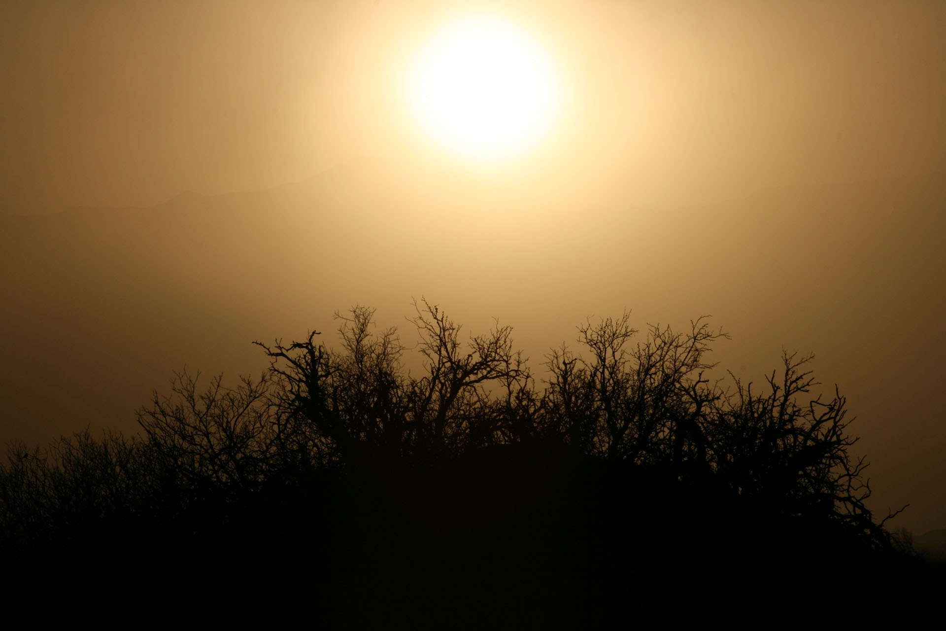 Desert_6523_1_sm