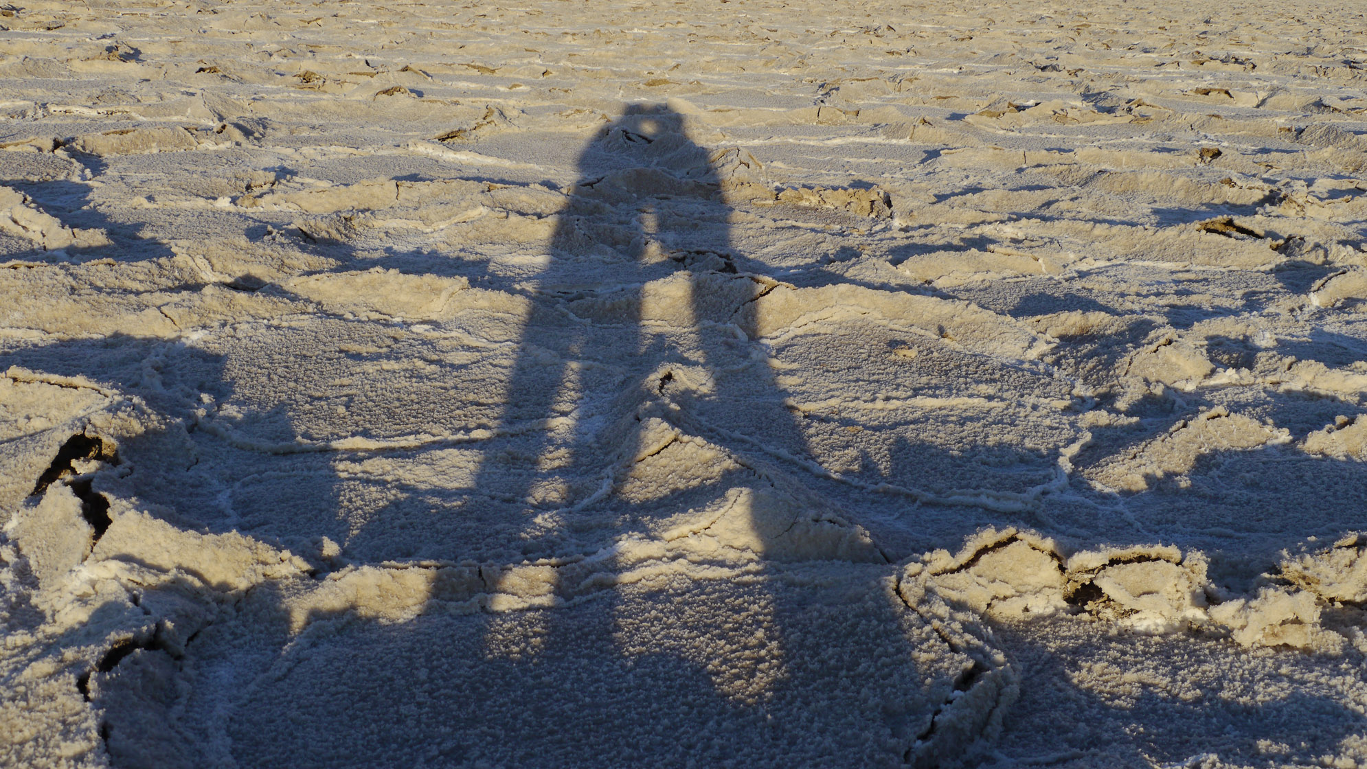 Shadowplay_P1020303_sm